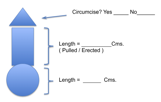 SRS Penis Detail Diagram